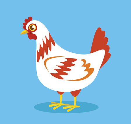 Cartoon white chicken. Vector flat illustrationのイラスト素材