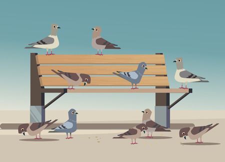 Pigeons in park eat bread crumbs. Vector flat cartoon illustrationのイラスト素材