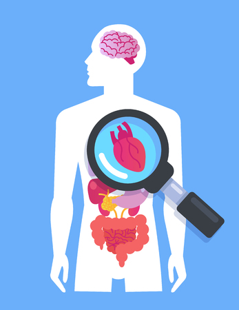Body organs banner Medicine researching concept. Vector flat cartoon graphic design isolated isolated illustrationのイラスト素材