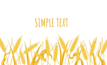 Wheat spikes landscape field banner poster with text place. Vector flat cartoon graphic design illustrationのイラスト素材