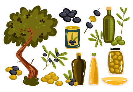 Olive oil isolated set design element collection. Vector cartoon hand drawn illustrationのイラスト素材