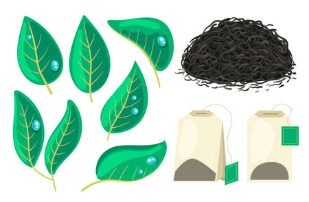 Tea leaf and bag cartoon isolated set. Design graphic illustrationのイラスト素材