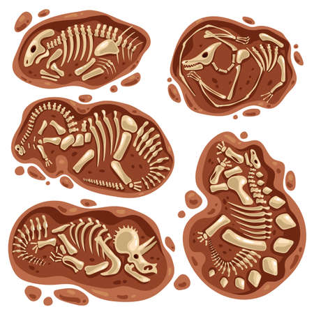 Dinosaur skeleton bones fossil excavations archeology isolated set. Vector flat graphic design cartoon illustrationのイラスト素材