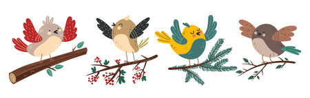 Birds characters sitting on branches isolated set. Vector flat graphic design illustrationのイラスト素材