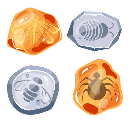 Fossil insects covered in resin and stone isolated set. Vector flat graphic design illustrationのイラスト素材
