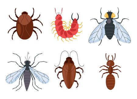 Insects isolated on white background graphic design element set collectionのイラスト素材
