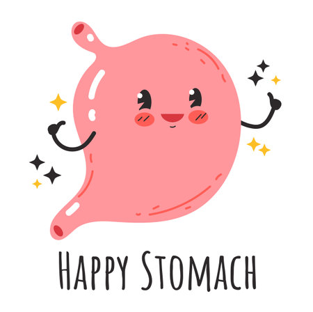 Happy healthy smiling stomach character. Vector flat cartoon design element illustrationのイラスト素材