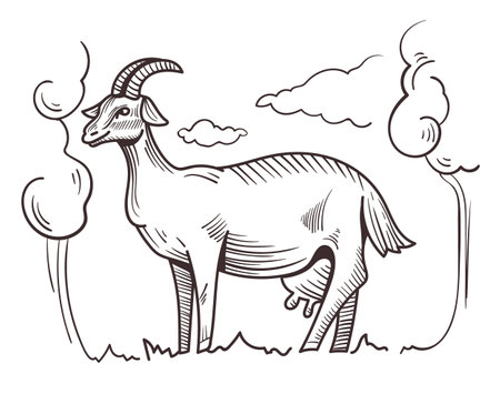 Goat sketch line art concept. Vector flat graphic design illustrationのイラスト素材