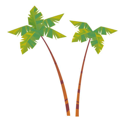 Palm tree leaves isolated set collections. Vector flat cartoon graphic design illustrationのイラスト素材