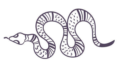 Boho style ornamental magical witchy spiritual snake line art design element. Vector flat graphic...
