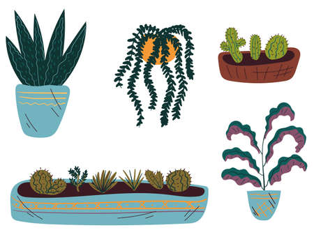 Home plant line art hand drawn isolated set concept. Vector flat graphic design illustrationのイラスト素材
