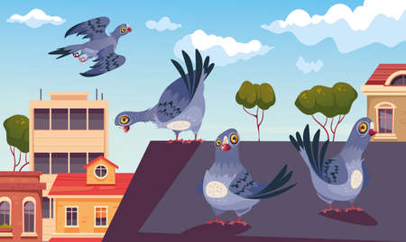 Pigeon fly and nest on city roof. Street urban animal birds concept. Vector isolated graphic design illustrationのイラスト素材