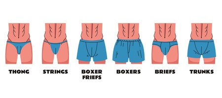 Man underwear types wearing on body model. Underpants infographic isolated on white background set. Doodle line art style concept set. Vector cartoon graphic design element illustrのイラスト素材
