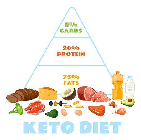 Keto diet ketogenic pyramid protein health concept. Vector graphic design illustrationのイラスト素材