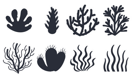 Coral seaweed sea plant black silhouette abstract isolated set. Vector graphic design illustrationのイラスト素材