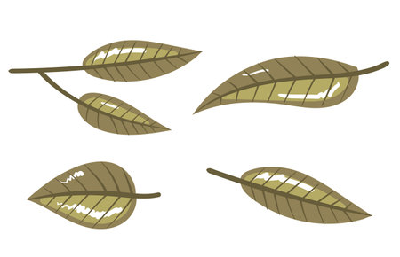 Leaf green leaves eco tree plant isolated set. Vector flat graphic design illustrationのイラスト素材