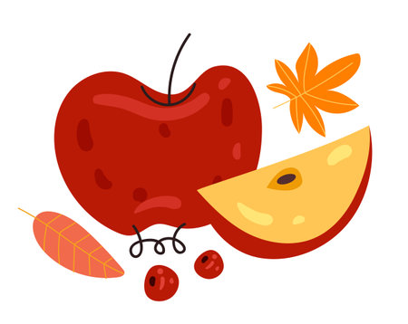 Autumn apple fruit slice concept. Vector flat graphic design illustrationのイラスト素材