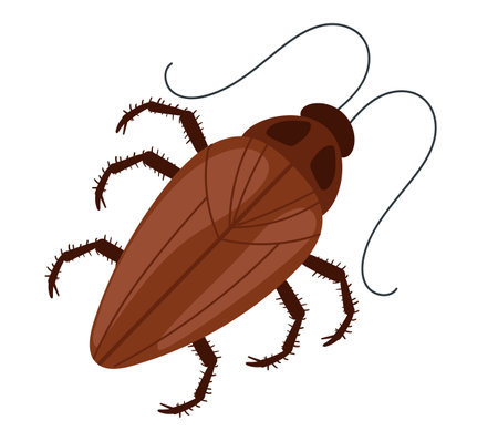 Cockroach moth mite bug roach isolated on white background. Vector flat graphic design illustration