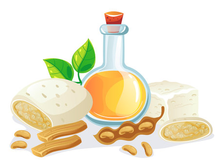 Soy product milk oil food protein soya bean oat concept. Vector flat graphic design illustrationのイラスト素材