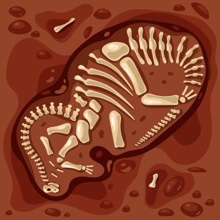 Dinosaur fossil paleontology skeleton archeology jurassic ancient concept. Vector flat graphic design illustrationのイラスト素材