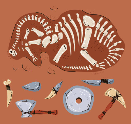 Dinosaur fossil paleontology skeleton archeology jurassic ancient concept. Vector flat graphic design illustrationのイラスト素材