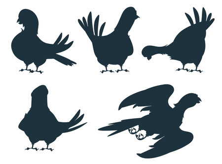 Bird silhouette decorative shadow isolated set. Vector flat graphic design illustrationのイラスト素材
