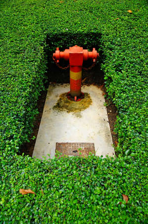This is a fire hose in garden.
