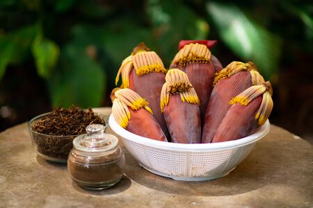This is a picture of  flower banana.の写真素材