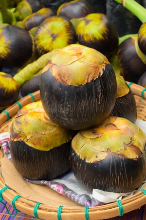 It is Borassus flabellifer, commonly known as doub palm, palmyra palm, tala palm, toddy palm, wine palm, or ice apple is native to the Indian subcontinent and Southeast Asiaの写真素材