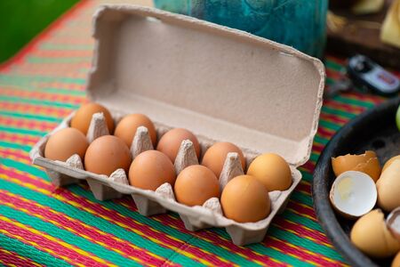 The egg is the organic vessel containing the zygote in which an embryo develops until it can survive...