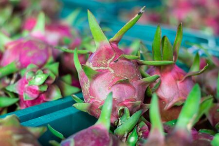 This is the wholesale dragon fruit.の写真素材