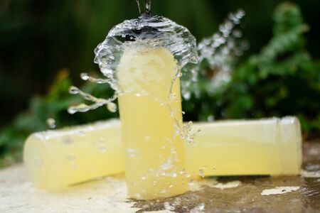 This is the drink made from the fresh lemon wand blended with honey.の写真素材