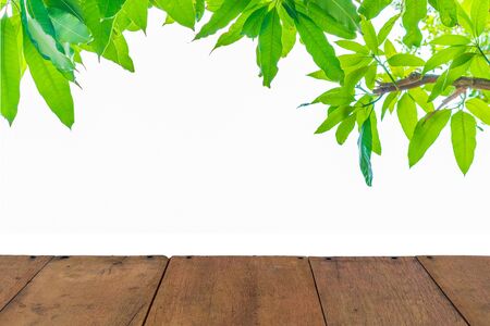 wood floor with leave backgroundの写真素材