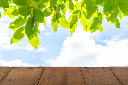 wood floor with cloud sky and leave backgroundの写真素材