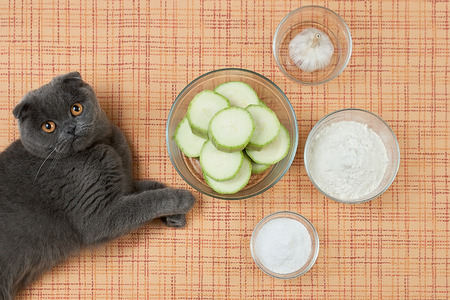 the cat with zucchiniの写真素材