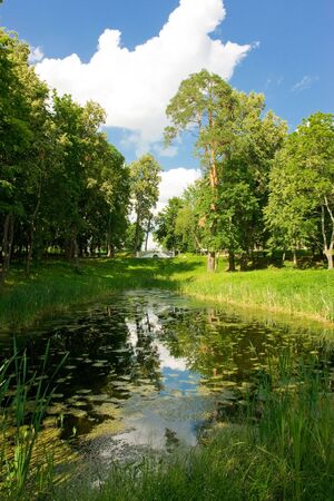 pond in park with small bridgeの写真素材