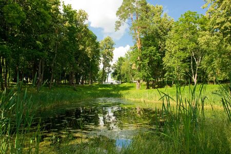 pond in park with small bridgeの写真素材