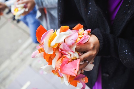 rose petals in palms closeupの写真素材