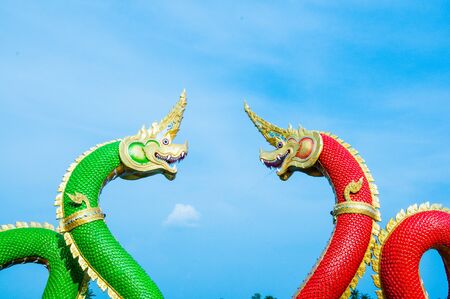 Green and red Serpentの写真素材