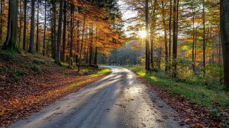 A tranquil road winds through a vibrant forest during autumn, showcasing colorful foliage and warm sunlight filtering through trees, inviting exploration and peace.の素材