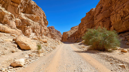 A stunning view of a narrow desert canyon pathway flanked by rocky cliffs under a vibrant blue sky. Perfect for outdoor exploration and travel themes.の素材