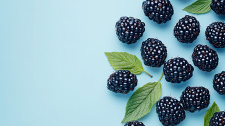 This image features fresh blackberries arranged artfully alongside green leaves on a light blue background, showcasing their vibrant colors and textures perfect for marketing healthy food options.の素材