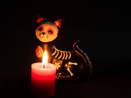 halloween dead cat katrina pan muerto candles velas white red darknessの写真素材