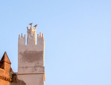 two lonely birds standing church tower blue skyの写真素材