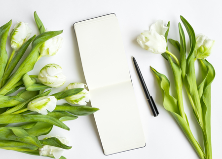 Sketchbook and fresh bouquet of white tulips on white background. Empty open notebook page with place for text. Spring business or personal planning concept, top view, flat layの写真素材