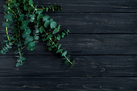 Simple bunch of green eucalyptus branches on black vintage wooden background. Flowers as a gift, romantic spring concept, natural decor. Top view, flat lay, space for textの写真素材