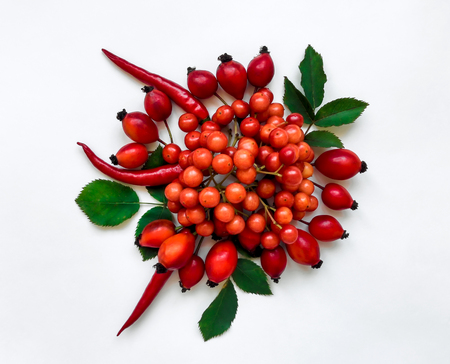 Bright red berries of dog rose and chili peppers in a round composition on white background. Briar floral ornament. Flat lay, top viewの写真素材