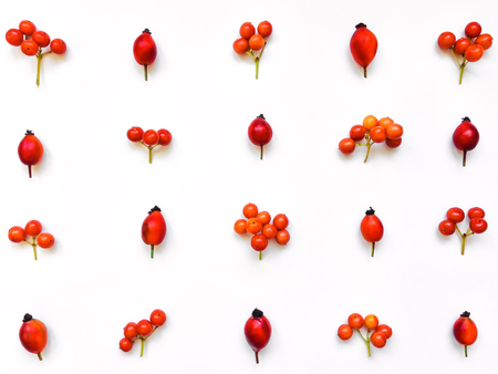 Bright red berries and branches of dog rose and rowanberry in a pattern on white background. Briar floral ornament. Flat lay, top viewの写真素材