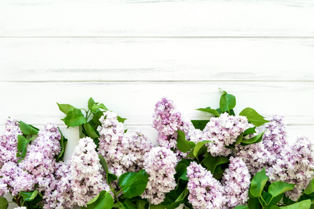 Beautiful floral composition. Spring lilac flowers on white wooden background. Bottom frame, flat lay, top view, space for textの写真素材