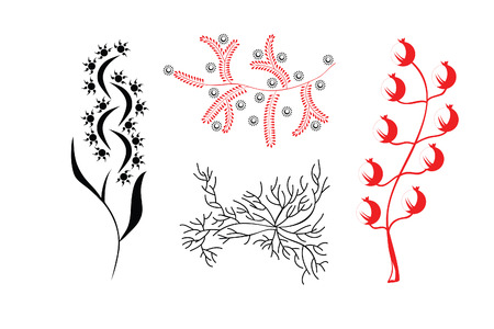 The vector graphic patterns, four kinds, flowers, berries and tree and grungeのイラスト素材